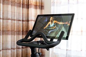 The Roosevelt New Orleans, A Waldorf Astoria Hotel