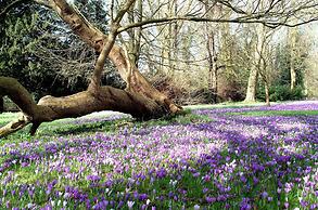 Three Ways House Hotel