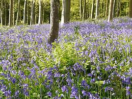 Three Ways House Hotel