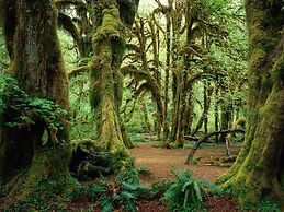 Olympic Inn & Suites