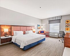 Hampton Inn Denver Northeast-Brighton