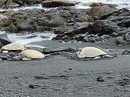 Colony I at Sea Mountain in Pahala