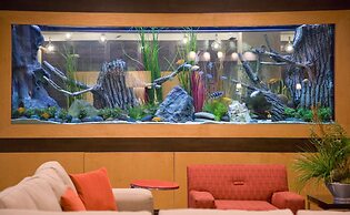 Embassy Suites by Hilton Houston Energy Corridor