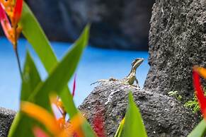 Pumilio Mountain & Ocean Hotel