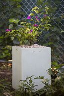 Pumilio Mountain & Ocean Hotel