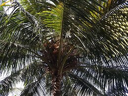 Ondas Do Mar Beach Resort Phase 2