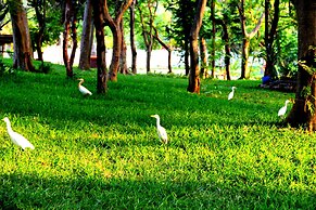 VGP Golden Beach Resort