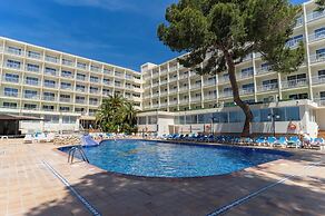 Moon Dreams Coral Beach