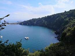 Ambassador Guest House