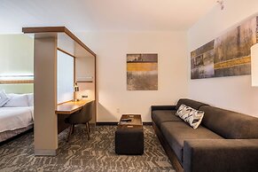 SpringHill Suites by Marriott-Houston/Rosenberg