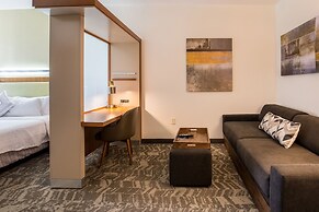 SpringHill Suites by Marriott-Houston/Rosenberg