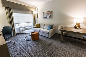 Comfort Inn & Suites New Iberia - Avery Island