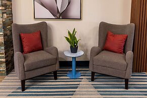 Comfort Inn & Suites New Iberia - Avery Island