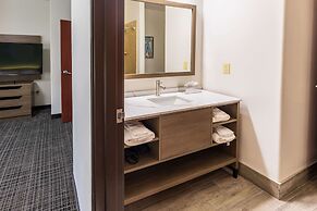 Comfort Inn & Suites New Iberia - Avery Island