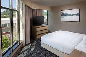 Hilton Asheville Biltmore Park