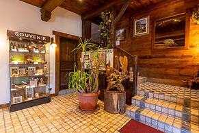 Hotel Des Alpes