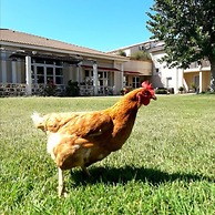 Le Mas des Ponts d'Arles