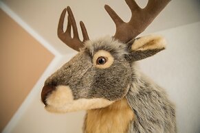 T3 Gasthof Spullersee