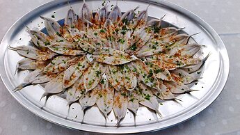 Hotel Cavalluccio Marino