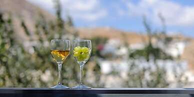 Afroditi Venus Beach Hotel & Spa