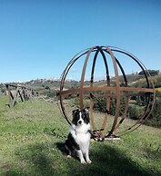 Agriturismo Poggiacolle