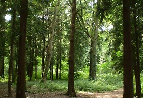 Le Pigeonnier du Perron