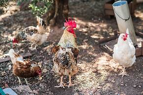 Hotel Rural Quinta do Marco