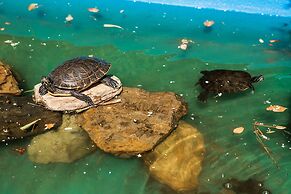 Hotel Rural Quinta do Marco
