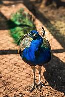 Hotel Rural Quinta do Marco