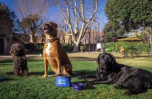 RVHotels Golf Costa Brava