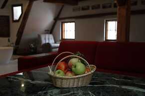 Hotel Svamberský Dum