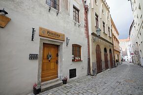 Hotel Svamberský Dum