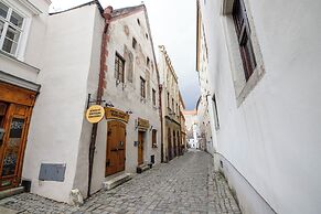 Hotel Svamberský Dum