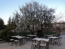 La Encina Centenaria