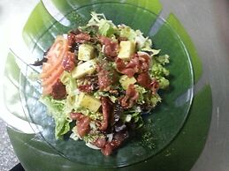 La Encina Centenaria