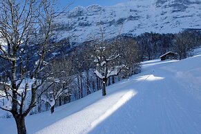 Aspen alpin lifestyle hotel Grindelwald