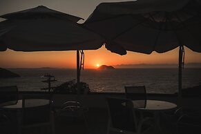 Colonna Galapagos Garden