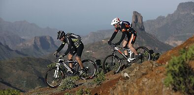 Hotel La Aldea Suites