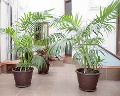 Hotel Castilla Guerrero