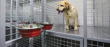 Hotel Spa Norat O Grove