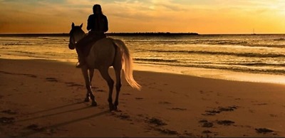 The Residence Resort