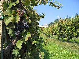 Agriturismo La Moraia