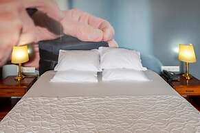 AS São João da Madeira