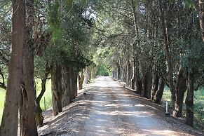 Quinta da Alcaidaria Mór