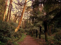 Eden