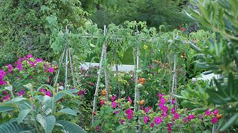 Hamilton Court  Apartamentos