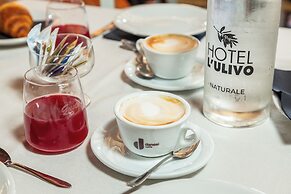 L'Ulivo