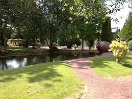 Oasis