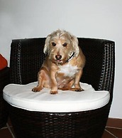 Hotel Maria Cristina