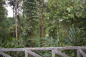 Amritara Shalimar Spice Garden Resort & Spa